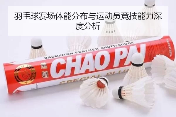 羽毛球赛场体能分布与运动员竞技能力深度分析